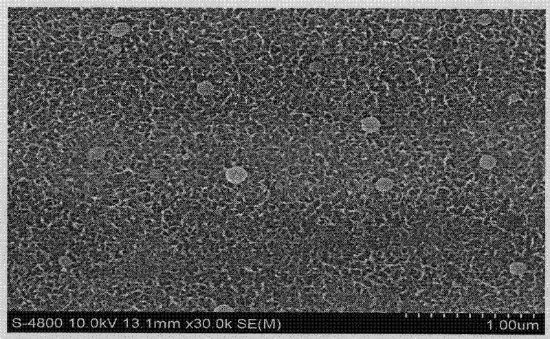 Anticorrosive sealing liquid and method for sealing anodic oxide film containing copper-aluminium alloy by utilizing same