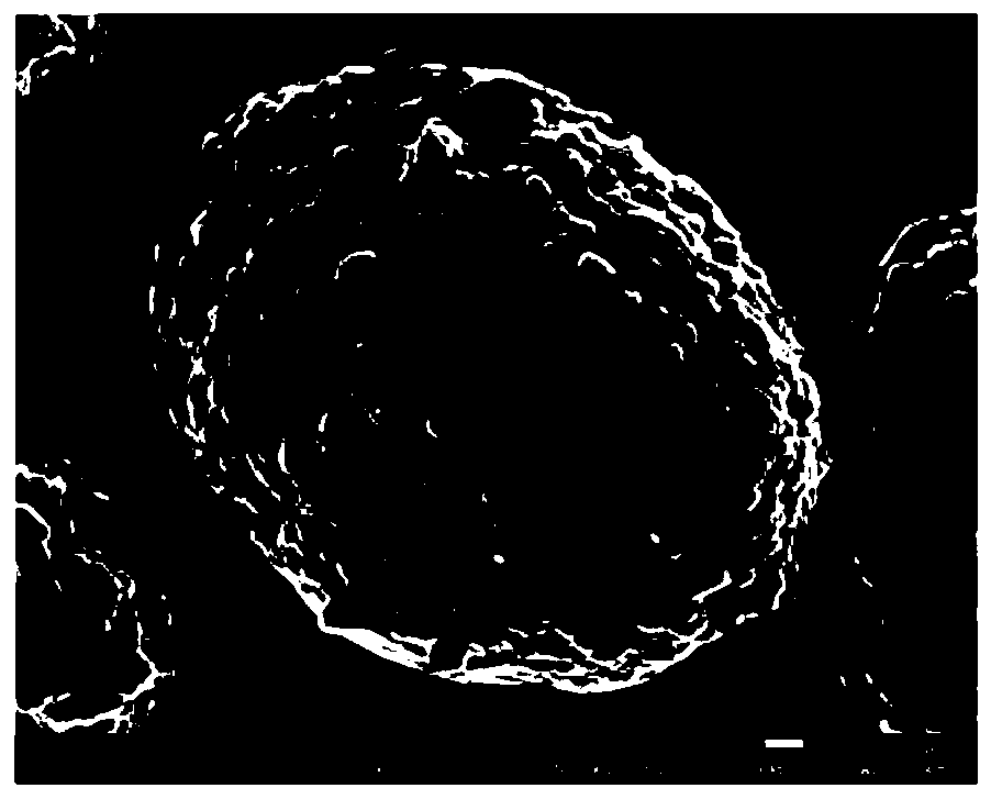 Separation and purification method for lithium ion battery positive electrode material and obtained lithium ion battery positive electrode material