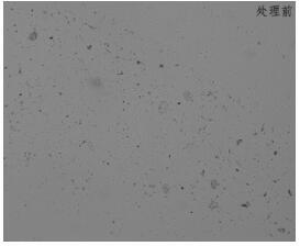 A kind of preparation method and application of lignin modified product