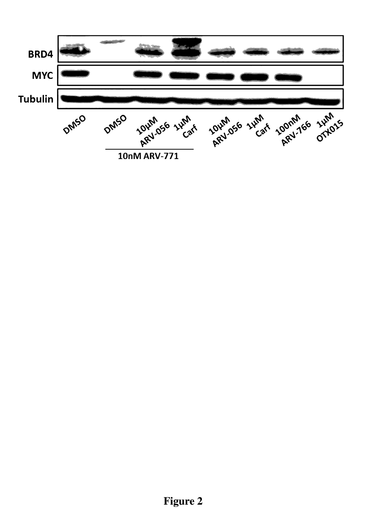 Compounds and methods for the targeted degradation of bromodomain-containing proteins