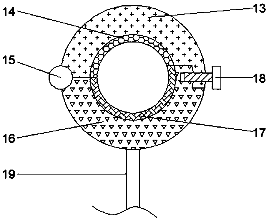 Multifunctional training device for physical exercise