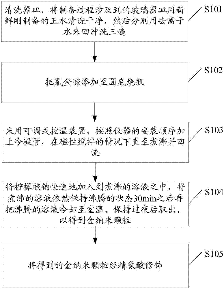 Amino acid gold nanoparticle and preparation method and application thereof