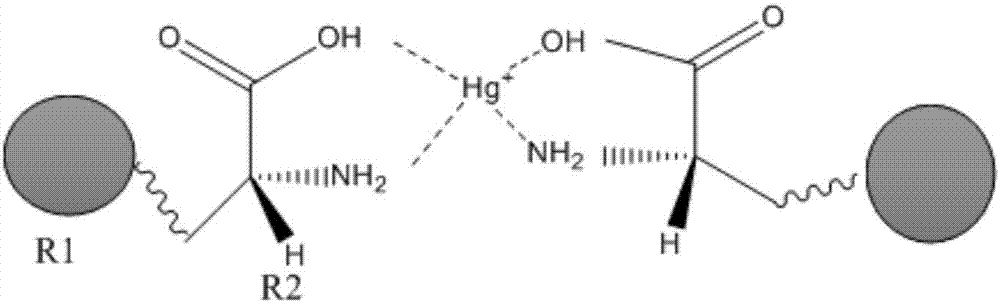 Amino acid gold nanoparticle and preparation method and application thereof