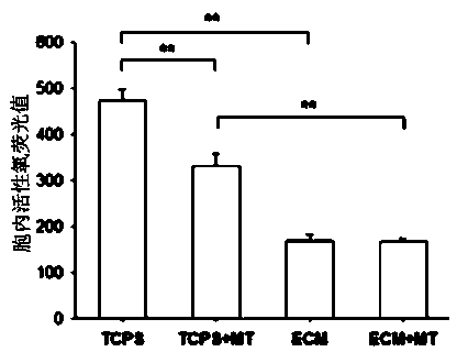 Application of melatonin synergistic extracellular matrix biomaterial to preparation of medicament for promoting osteoblast differentiation of mesenchymal stem cells