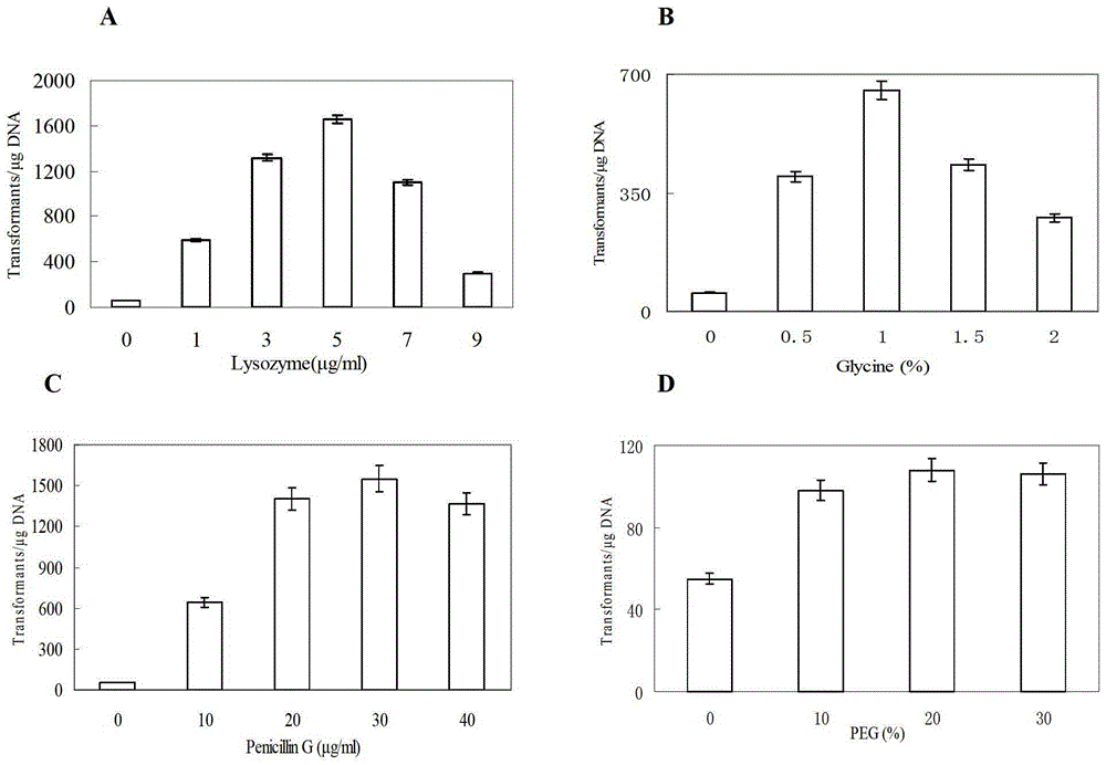 Streptomyces diastatochromogenes electroporation transformation method