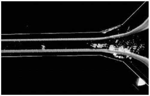 A fully transparent microfluidic acoustic bulk wave chip and its preparation method