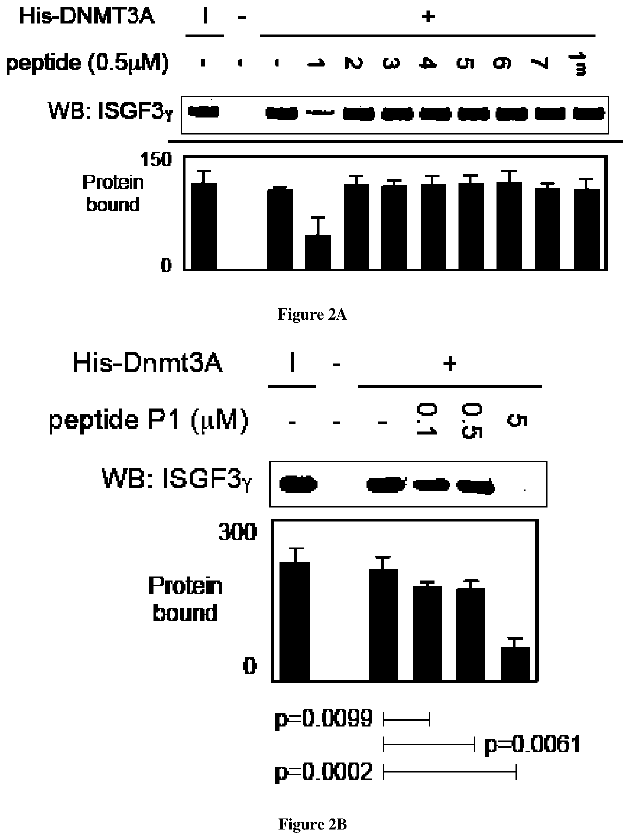 Method for treating and prognosing cancer