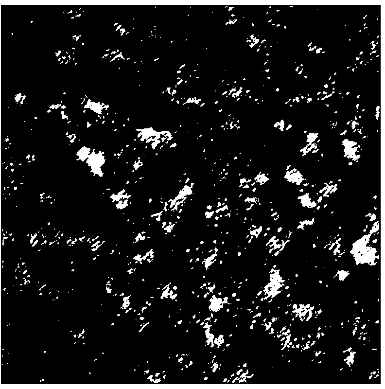 Truncated PCV2-type capsid protein ORF2 (Open Reading Frame 2) virus-like particle and preparation method