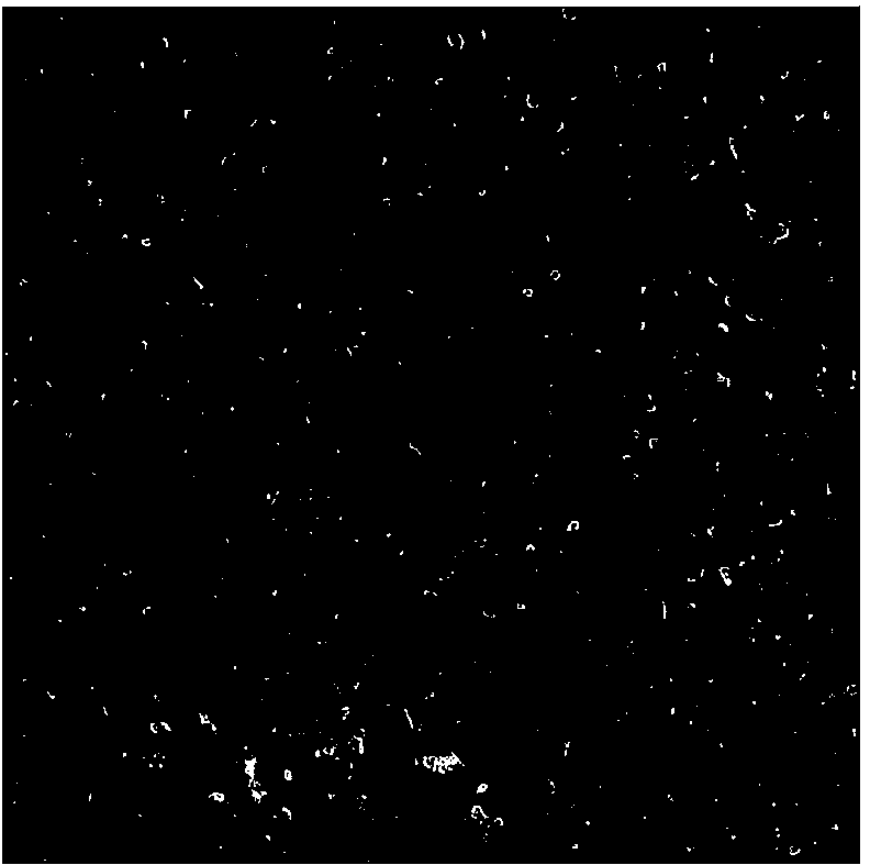 Truncated PCV2-type capsid protein ORF2 (Open Reading Frame 2) virus-like particle and preparation method