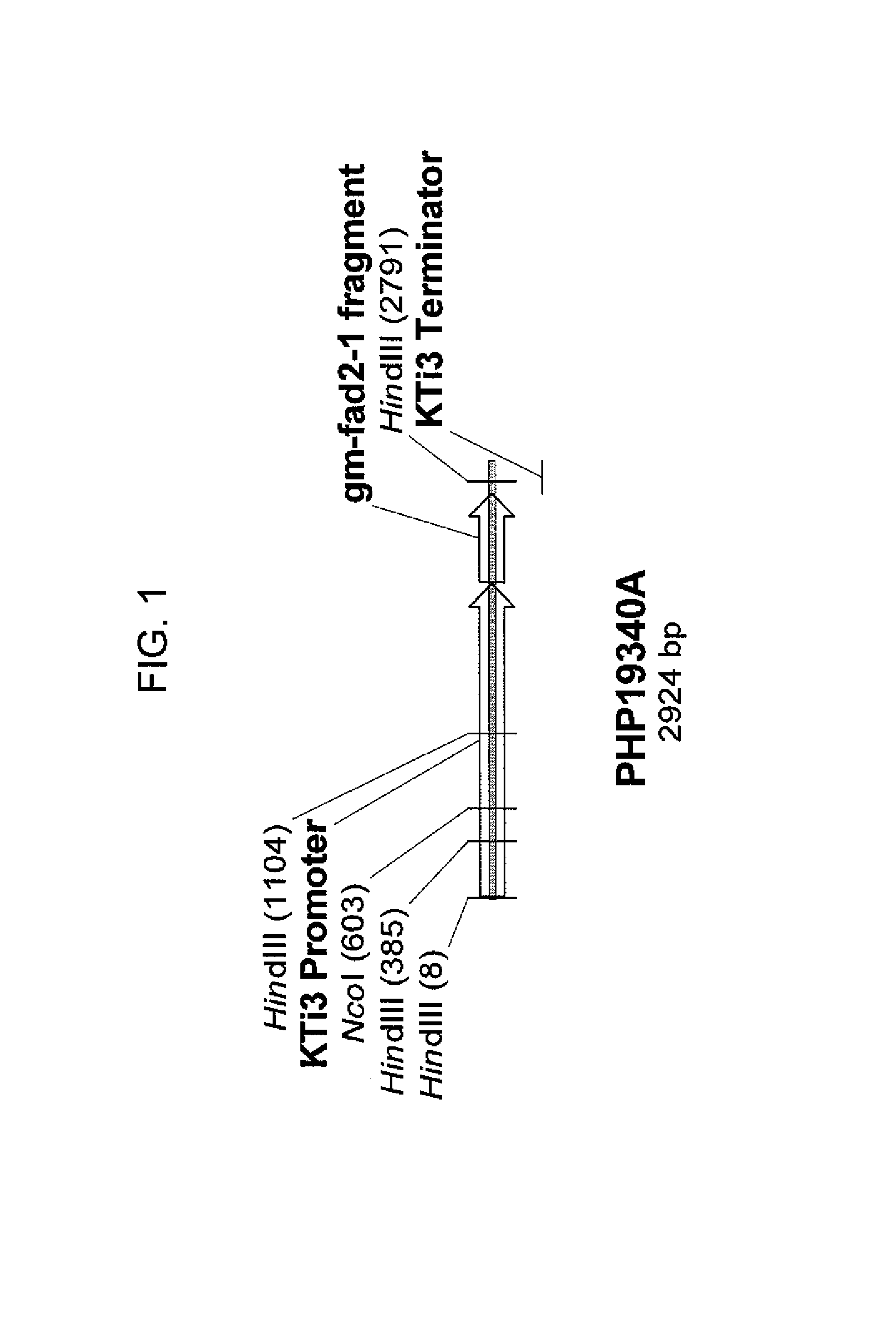 Soybean event DP-305423-1 and compositions and methods for the identification and/or detection thereof