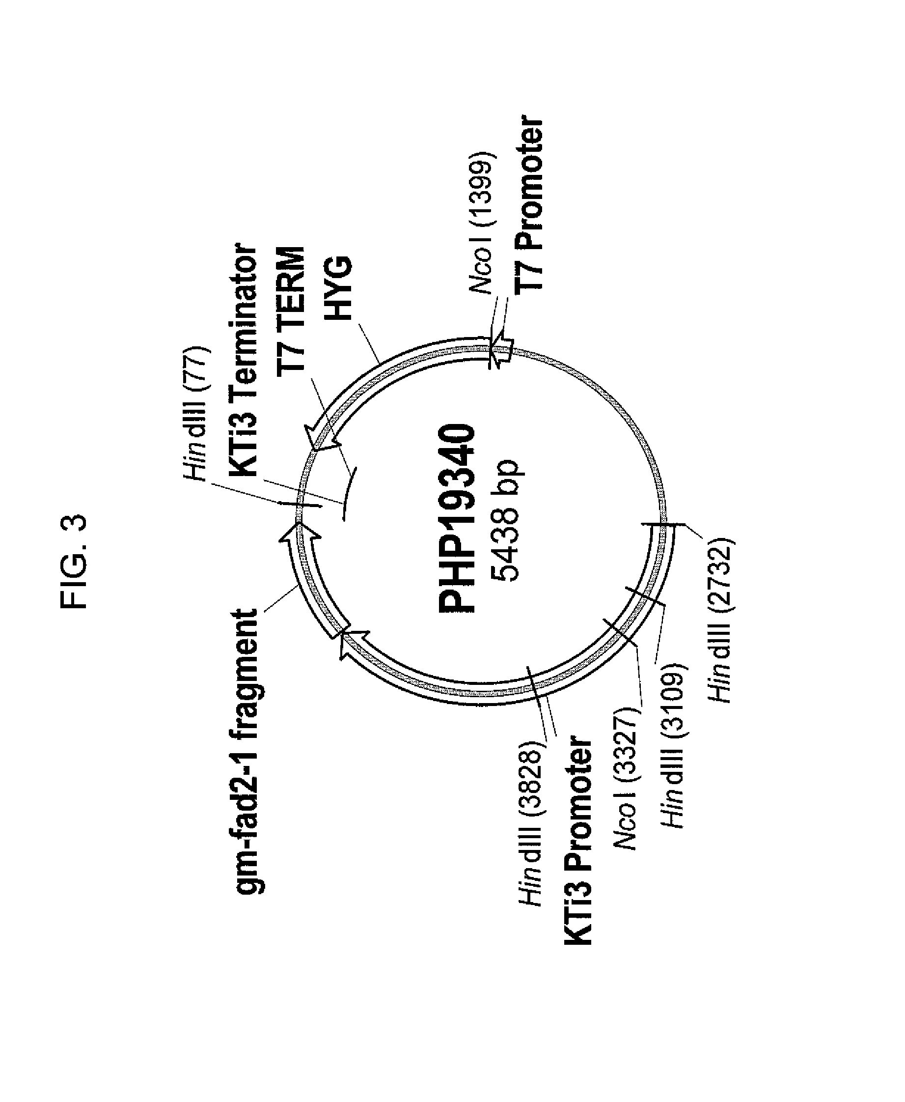 Soybean event DP-305423-1 and compositions and methods for the identification and/or detection thereof