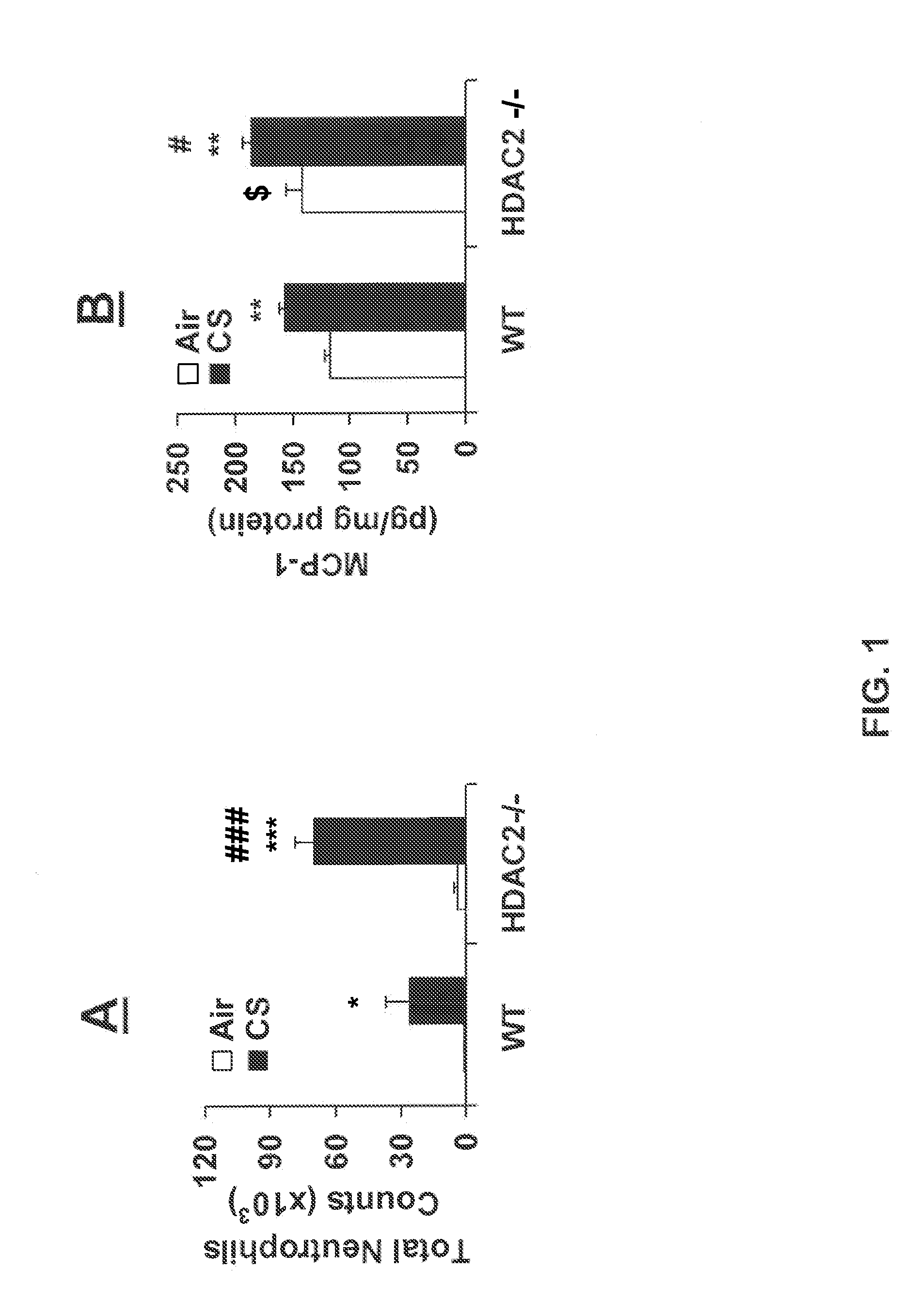 NRF2 Deficiency Influences Susceptibility to Steroid Resistance via HDAC2 Reduction