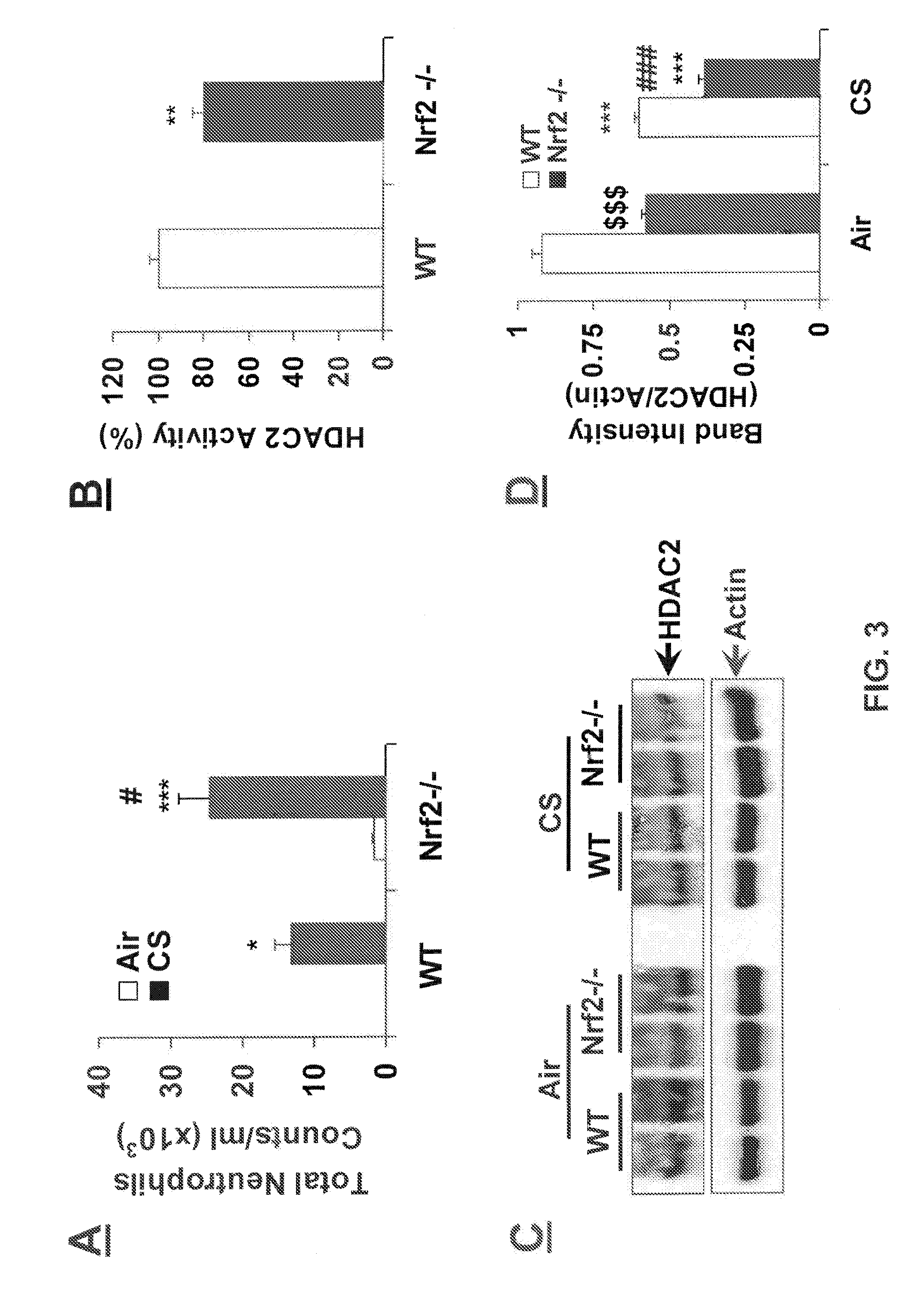 NRF2 Deficiency Influences Susceptibility to Steroid Resistance via HDAC2 Reduction