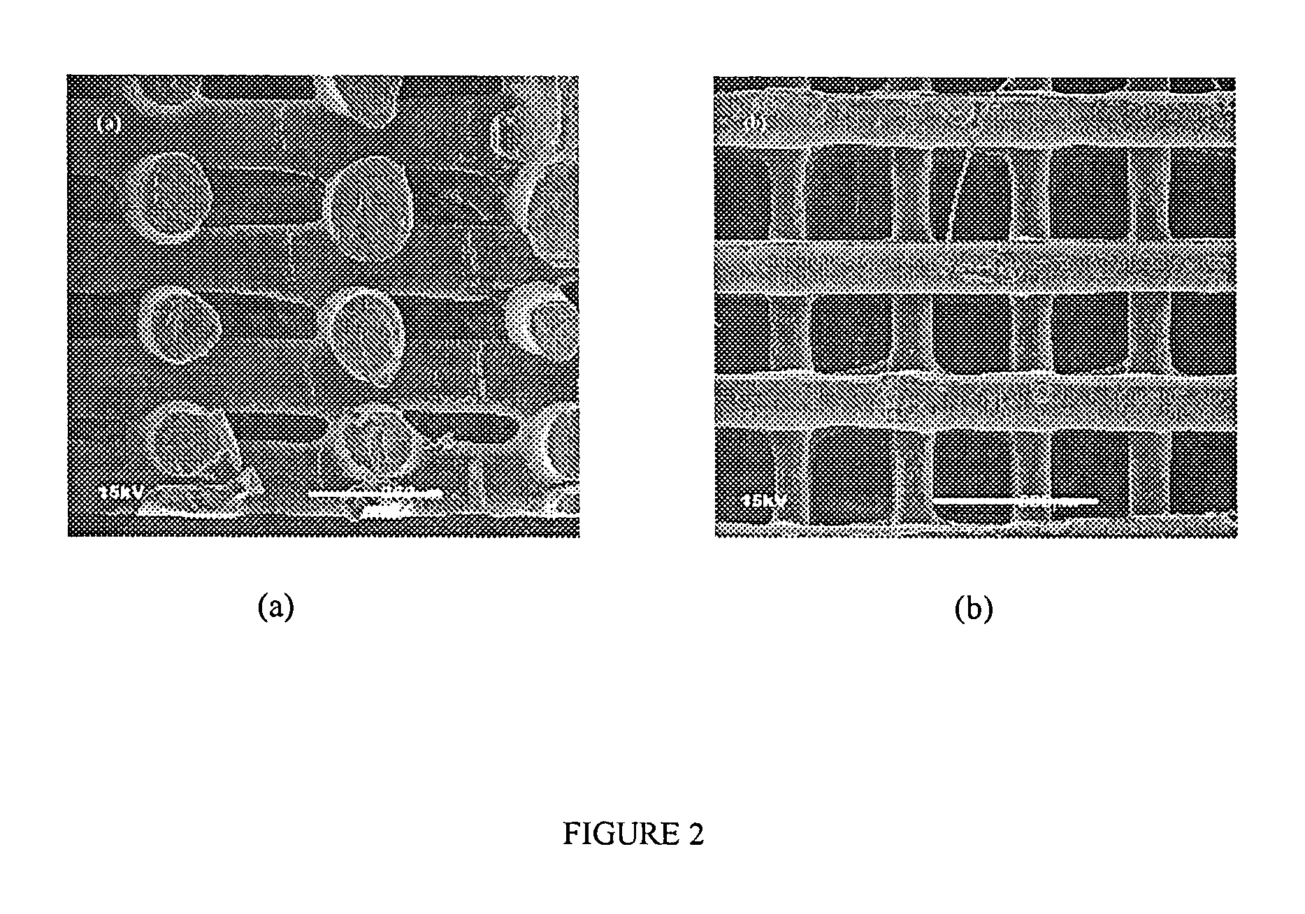 Three-dimensional bioresorbable scaffolds for tissue engineering applications