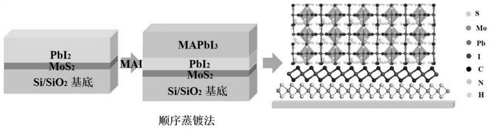 PVK-TMDCs Van der Waals heterojunction and preparation method thereof