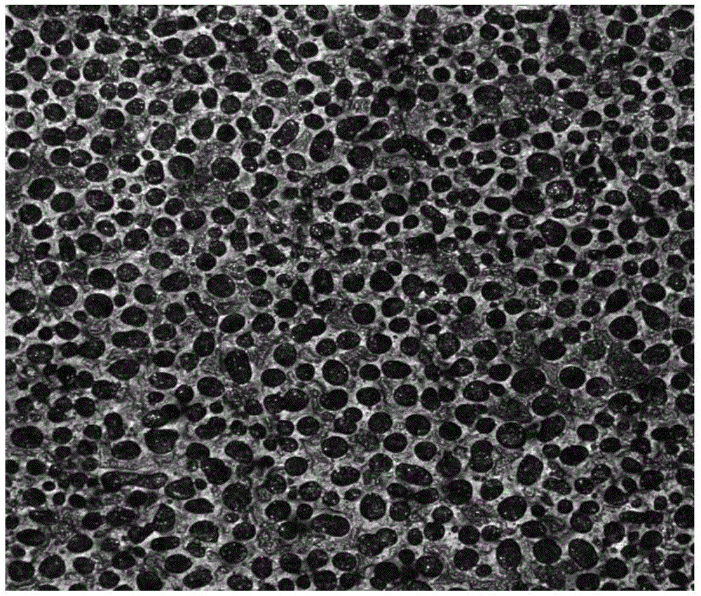 High temperature resistant hydrophobic coating based on epoxy resin modified silica sol and preparation method thereof