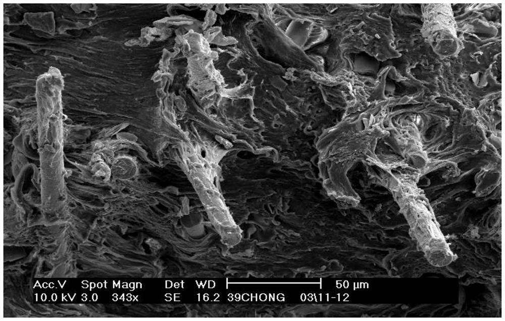 Glass fiber reinforced TPU material and preparation method thereof