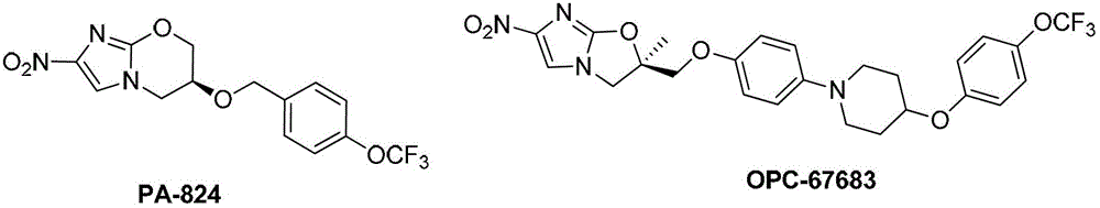 A kind of nitroimidazole compound and its application in pharmacy