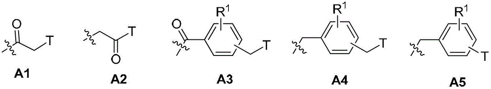 A kind of nitroimidazole compound and its application in pharmacy