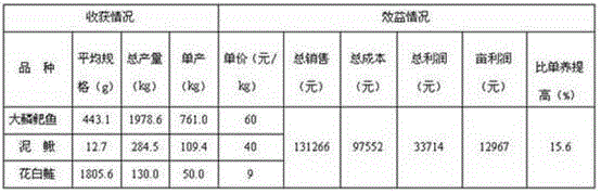 Cultivation method of intercropping of barbus capito and loach