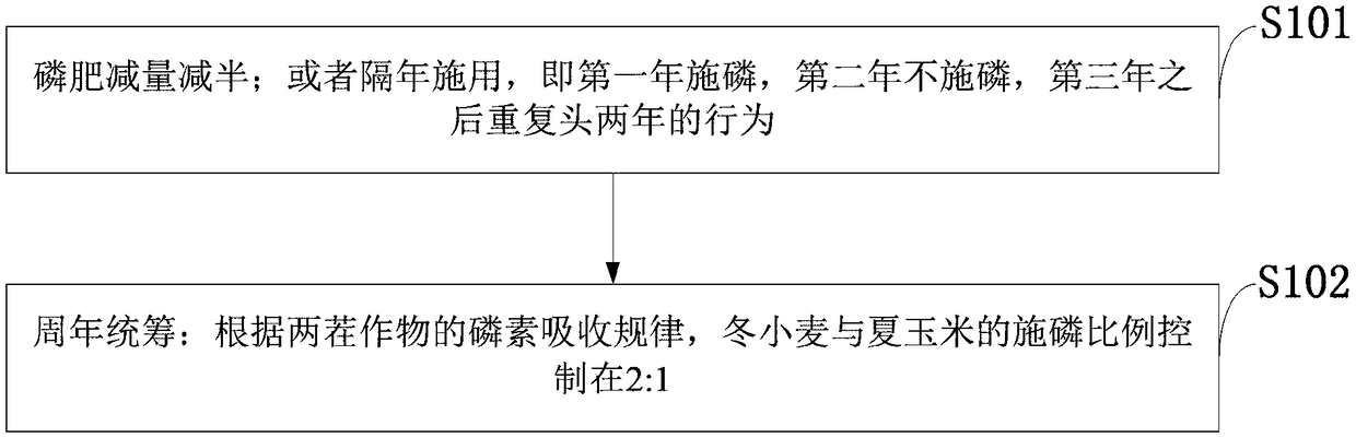 Phosphate fertilizer application method and planting method for wheat-corn rotation