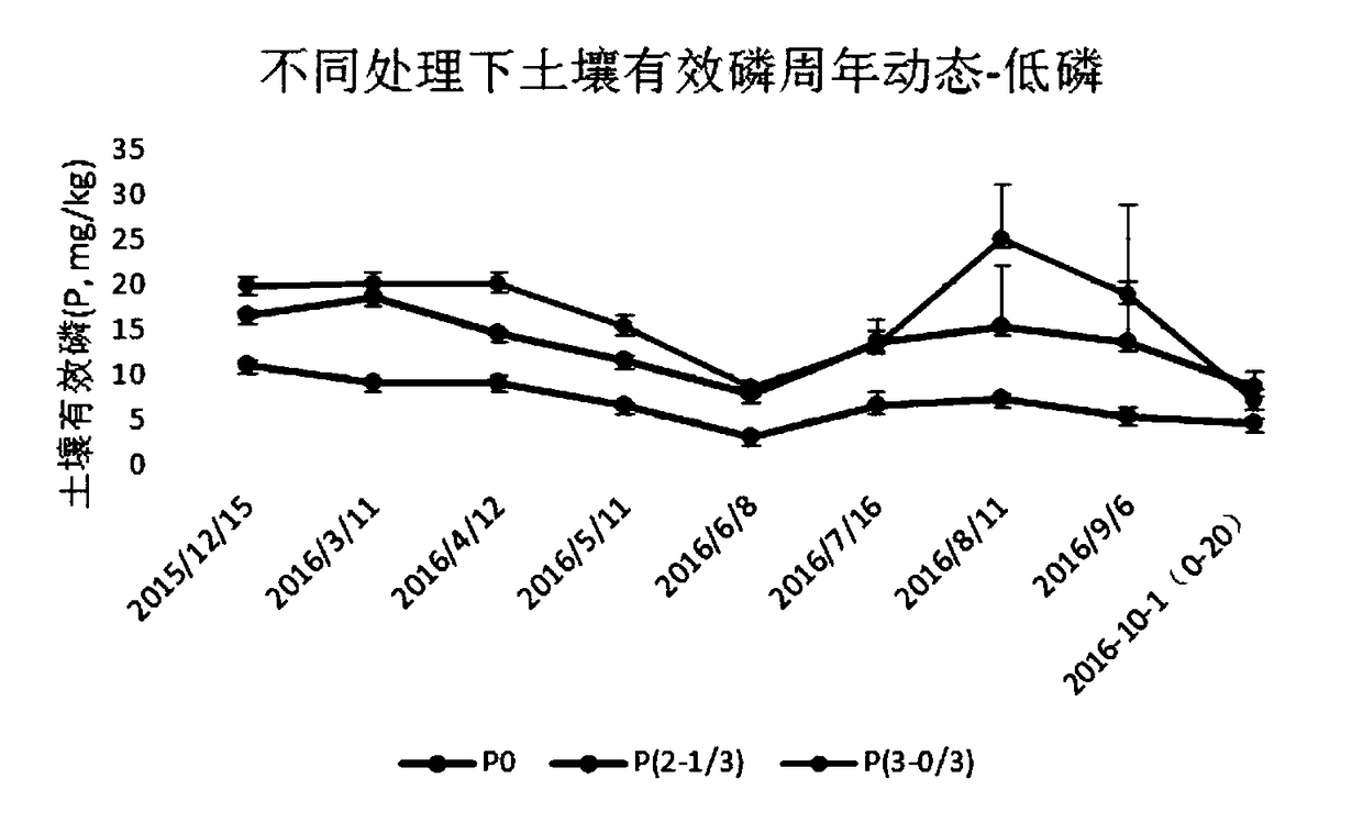 Phosphate fertilizer application method and planting method for wheat-corn rotation