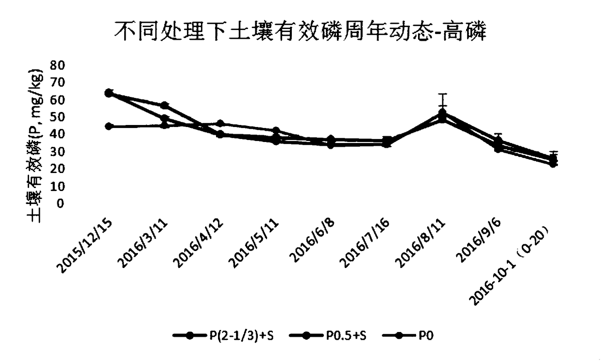 Phosphate fertilizer application method and planting method for wheat-corn rotation