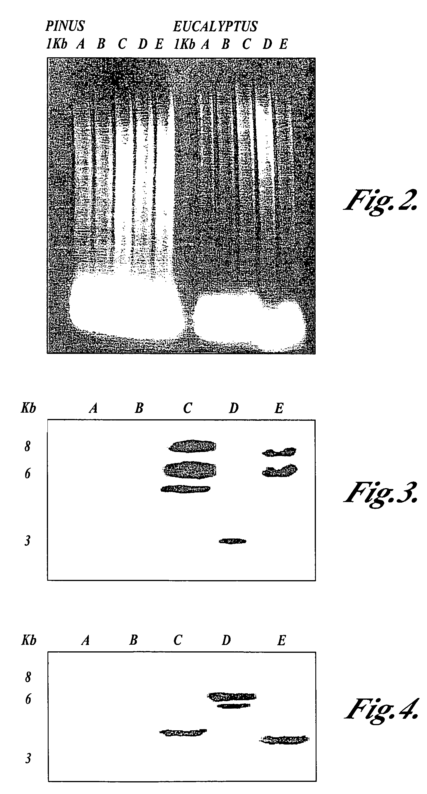 Materials and methods for the modification of plant lignin content