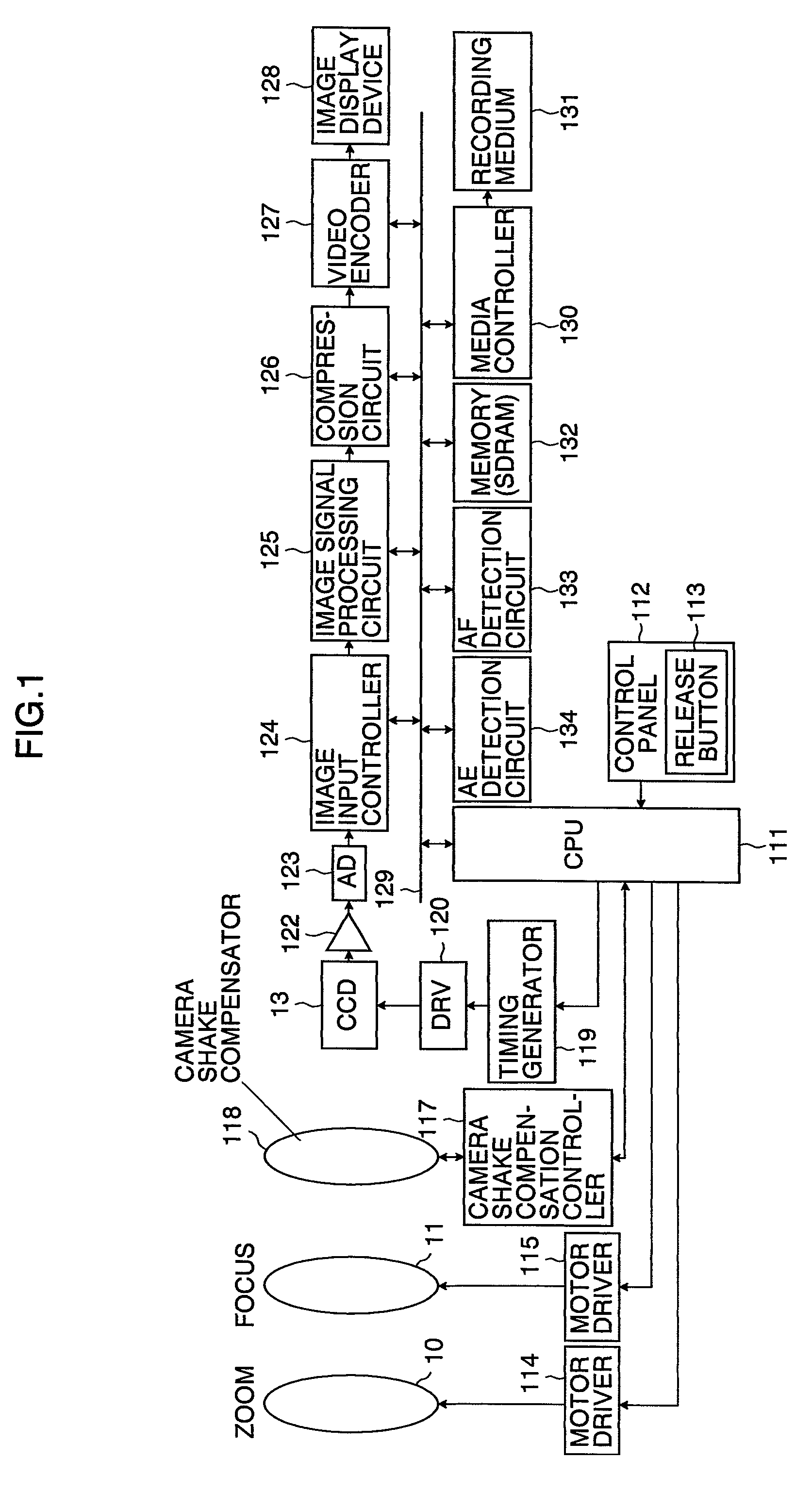 Shake detection apparatus and shake detection method