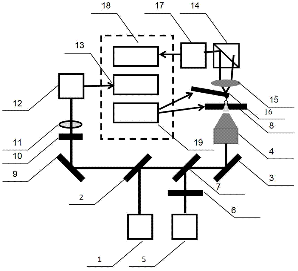 Combining system of super-resolution confocal optical microscope and scanning probe microscope