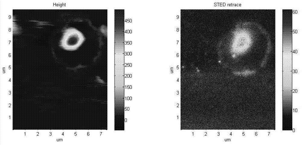 Combining system of super-resolution confocal optical microscope and scanning probe microscope