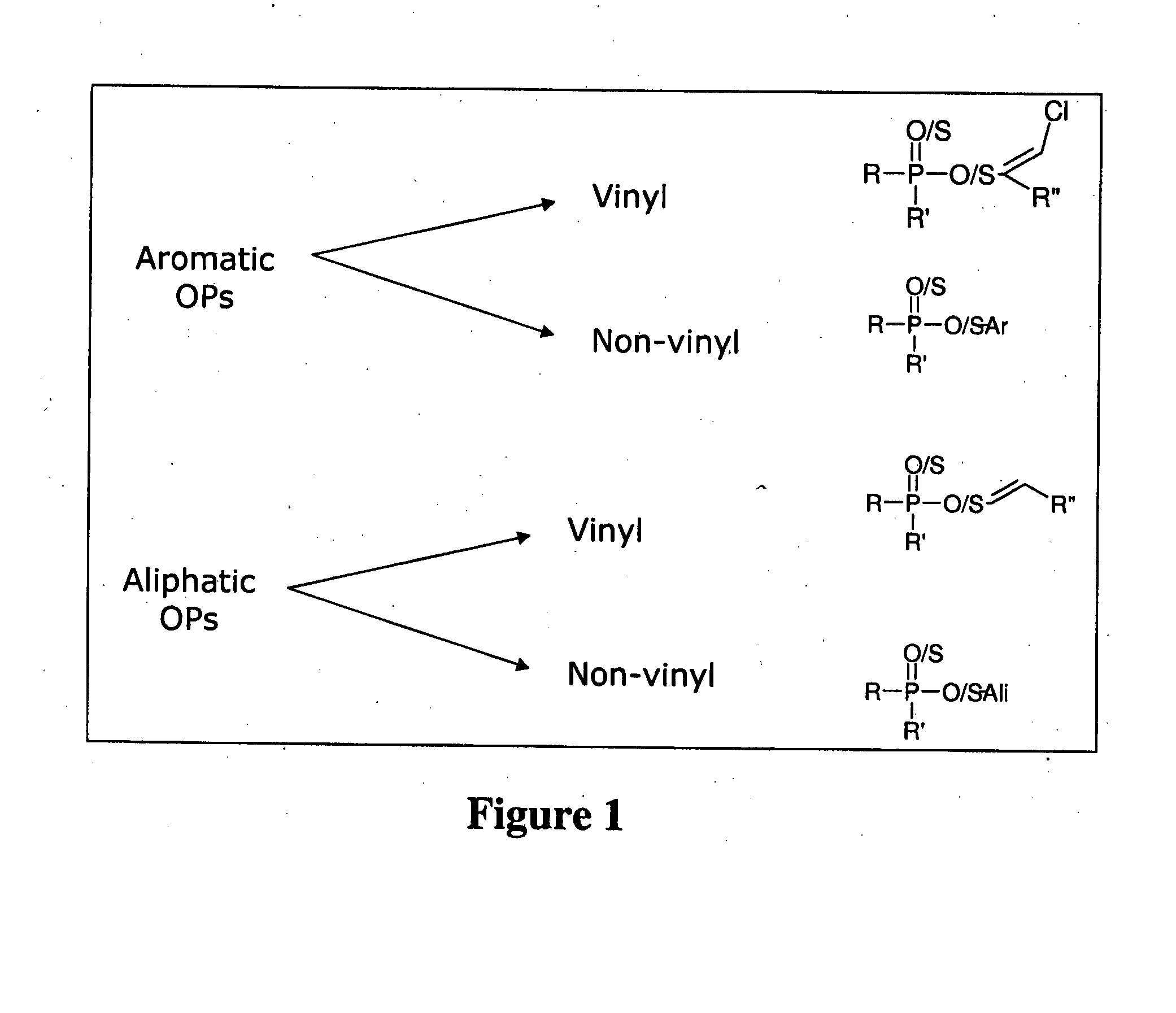 Enzymes for degrading organophosphates