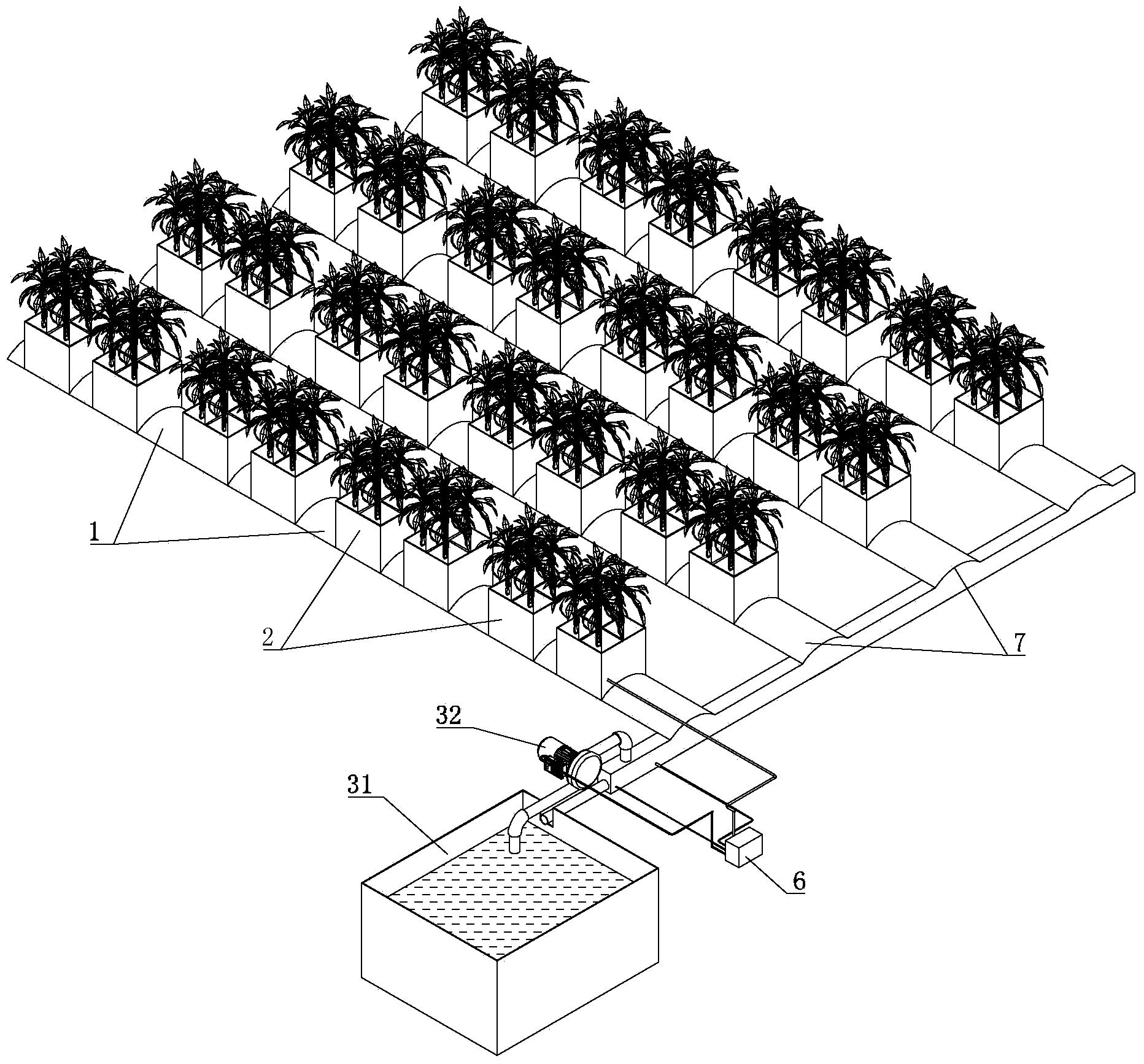 Irrigation system and method for utilizing irrigation system to irrigate nyssa aquatica seedlings