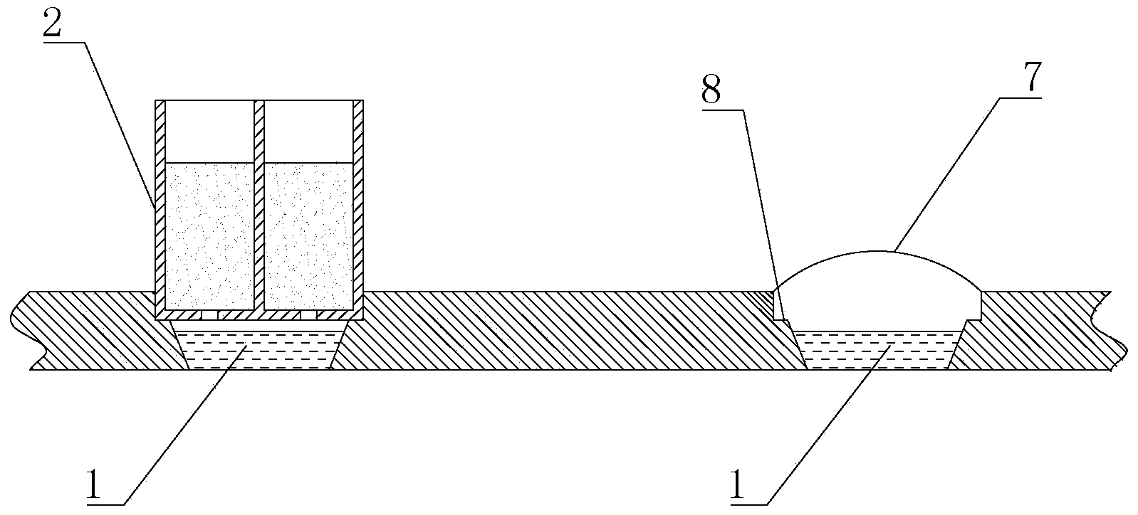 Irrigation system and method for utilizing irrigation system to irrigate nyssa aquatica seedlings