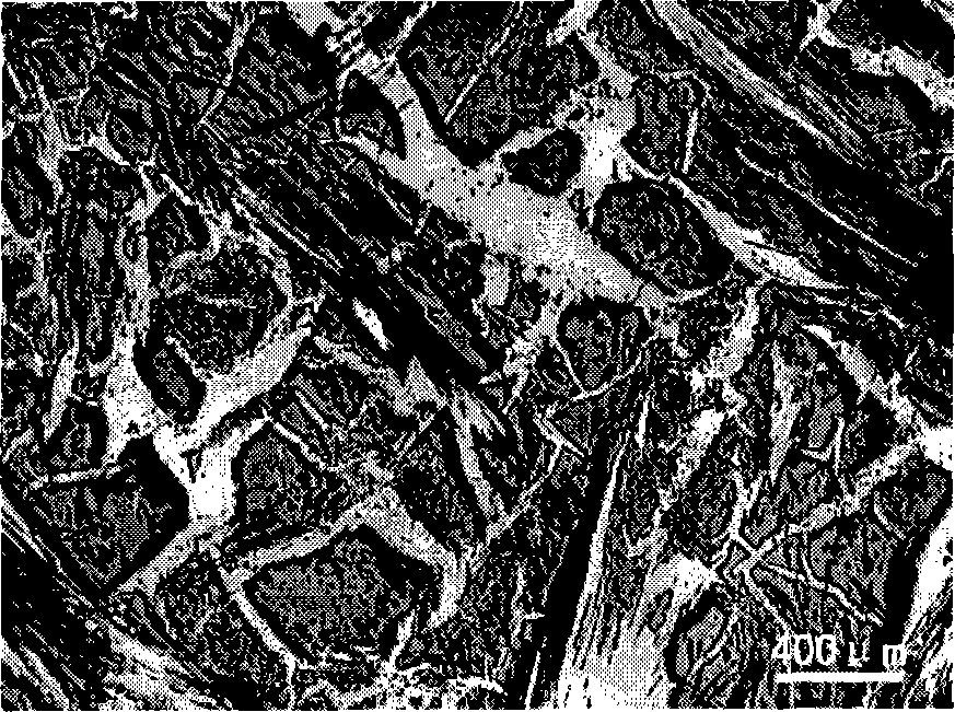 Carbon fabric integer fabric carbon-copper composite material and method of manufacturing thereof