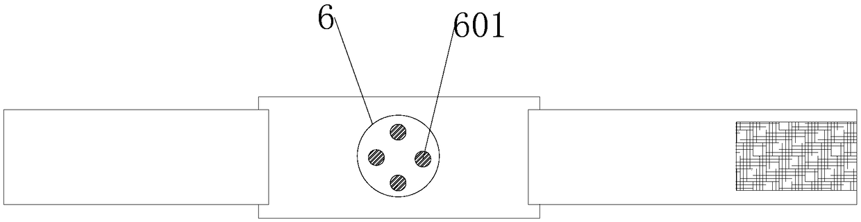 Portable human body health detector