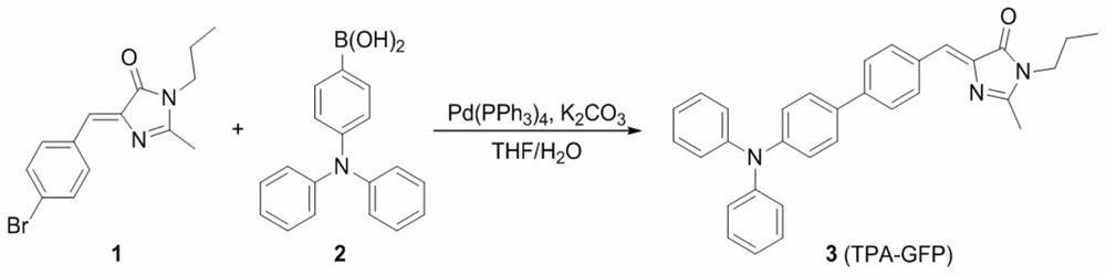 Fluorescent probes and their applications