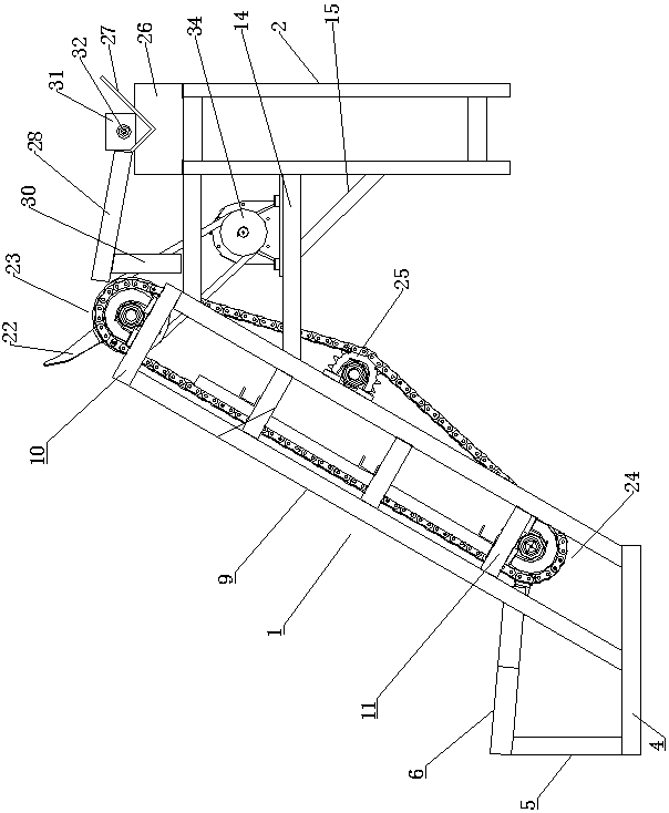 Chain feeding device