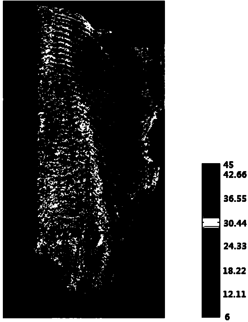 Hyperspectral imaging technology-based fish fat content distribution detection method