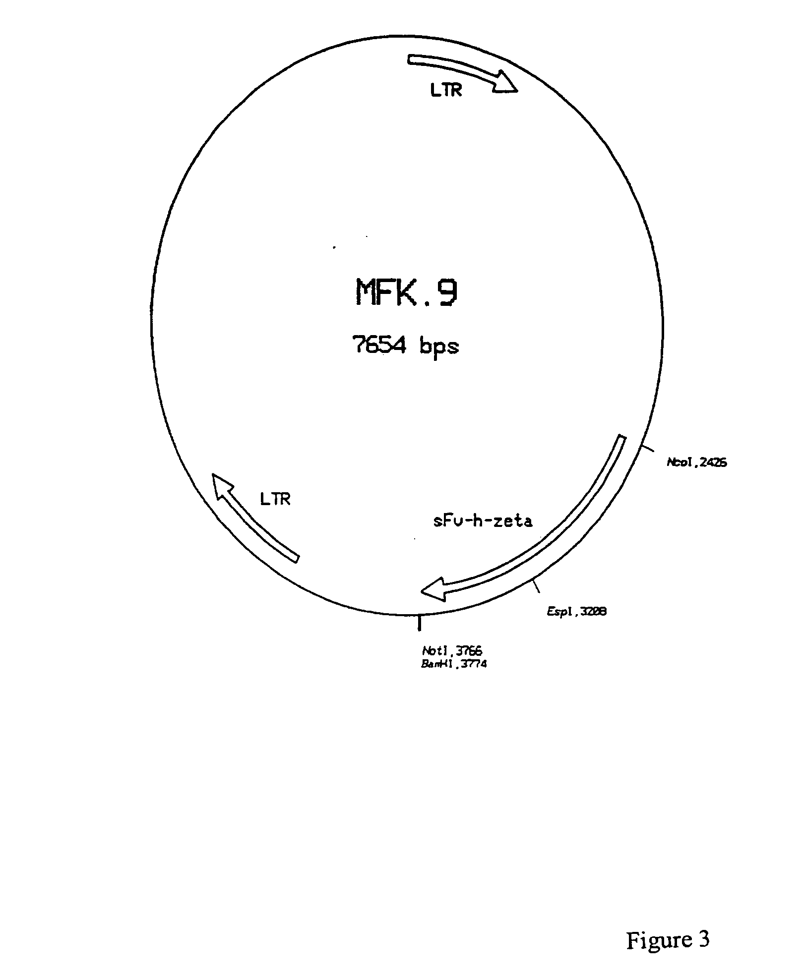 Antibodies as chimeric effector cell receptors against tumor antigens