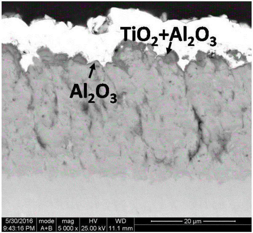 TiAl coating capable of achieving heat growth of aluminum oxide film and preparing method of TiAl coating