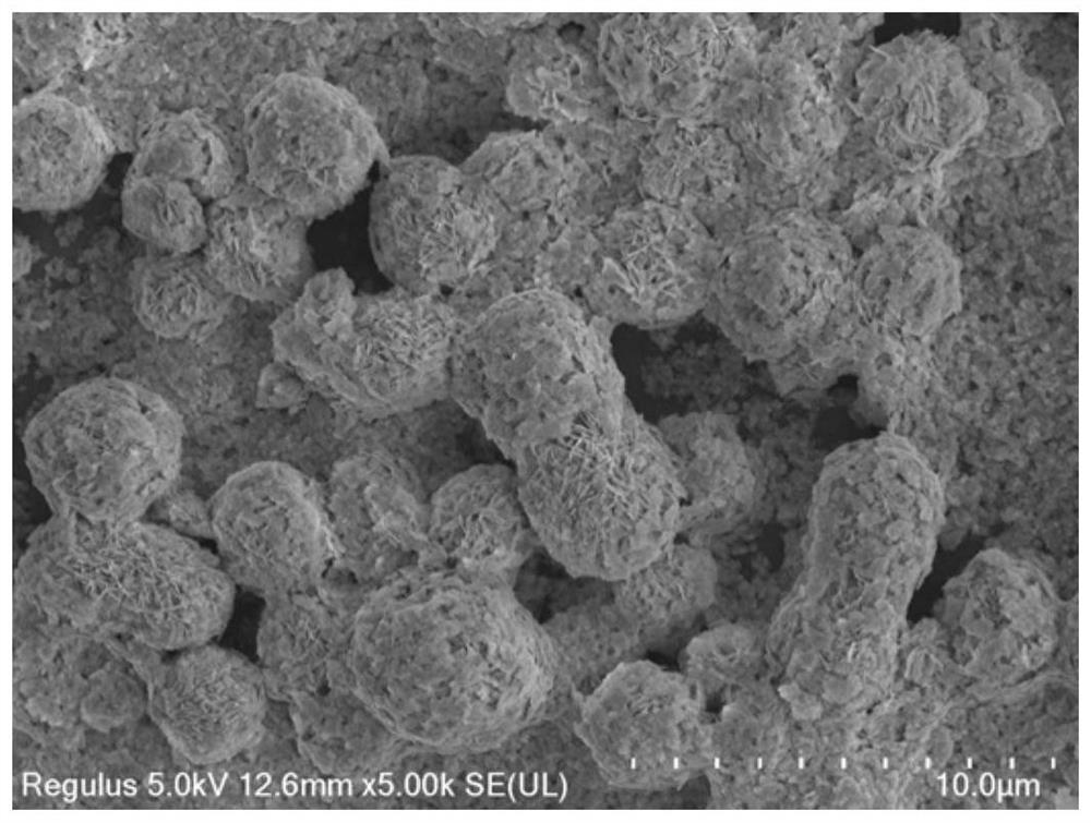 Bismuth-bismuthyl carbonate composite photocatalyst as well as preparation method and application thereof