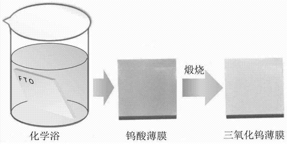 a kind of wo  <sub>3</sub> Preparation method and application of nanosheet array thin film