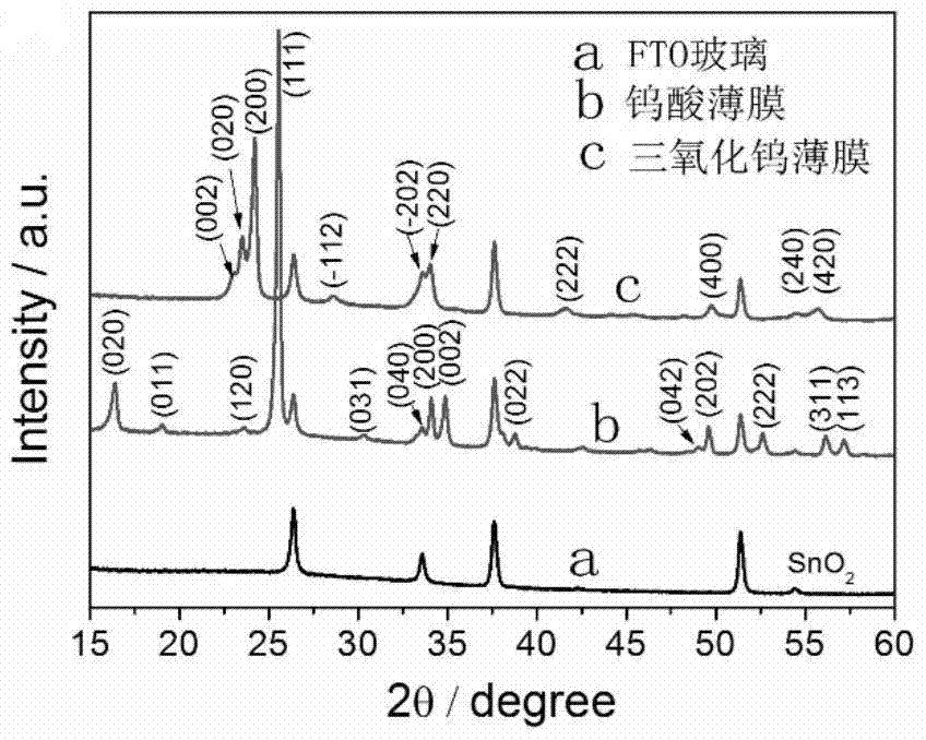 a kind of wo  <sub>3</sub> Preparation method and application of nanosheet array thin film