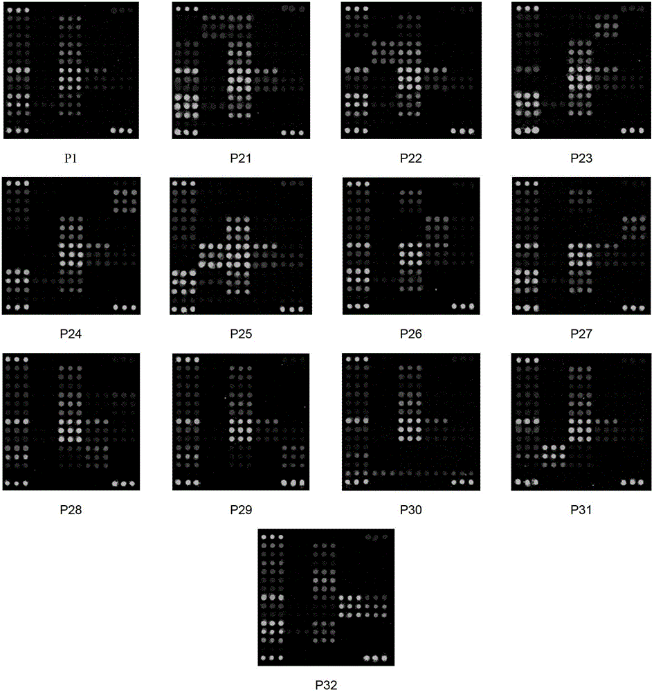 Method for detection of HIV-1 non-nucleoside inhibitor drug resistance mutation and kit