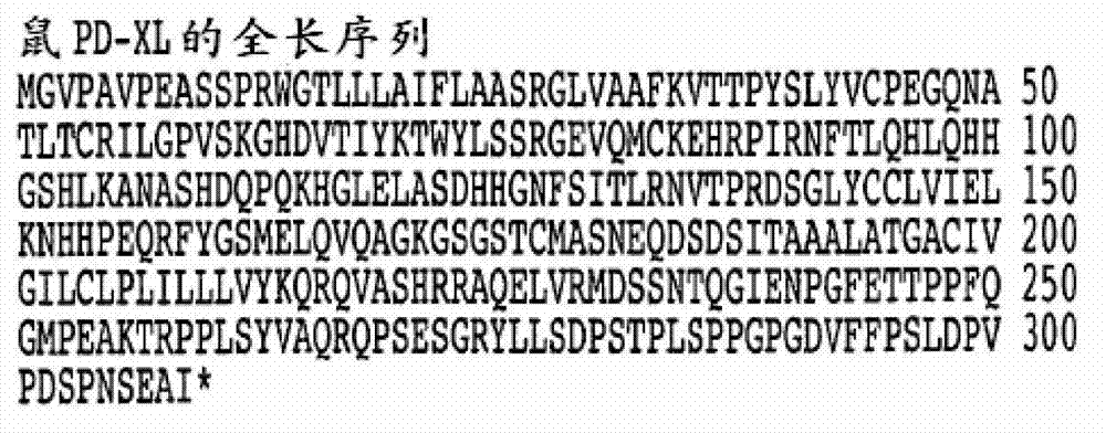 VISTA regulatory T cell mediator protein, VISTA binding agents and use thereof