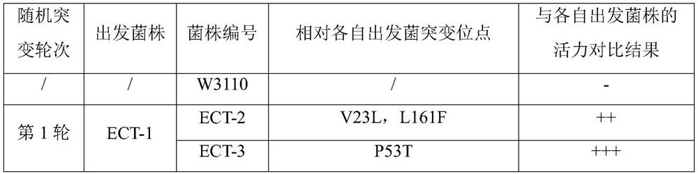 Diaminobutyric acid acetyltransferase mutant for synthesizing Ectoine