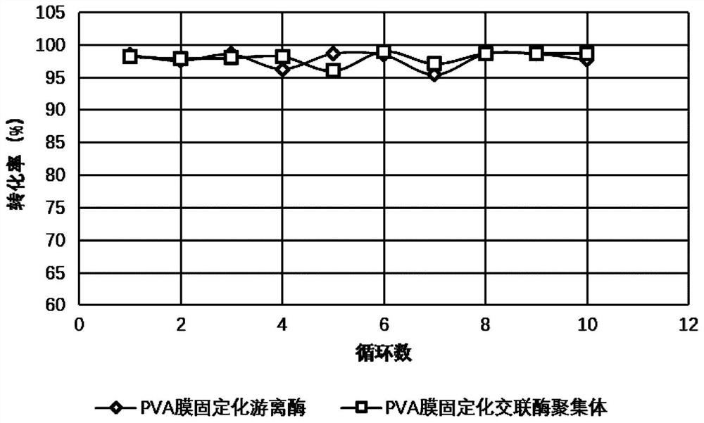 PVA membrane immobilized enzyme and preparation method thereof