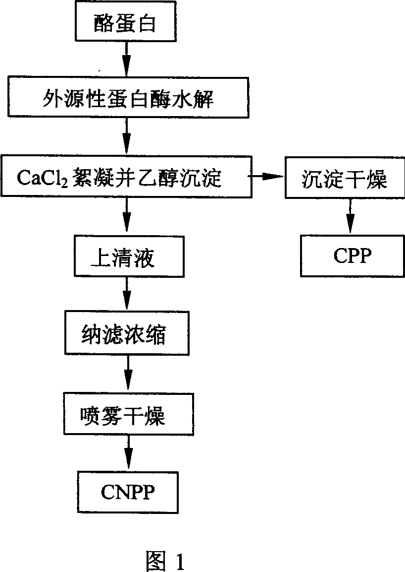 Enzyme method for hydrolyzing casein and synchronous preparation of phosphopeptide and non-phosphopeptide