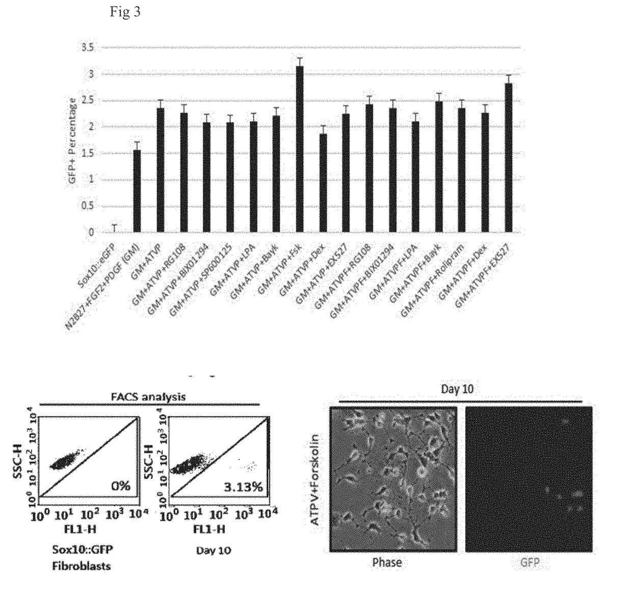 Method for inducing oligodendrocyte precursor cells from oct4-induced human somatic cells through direct reprogramming